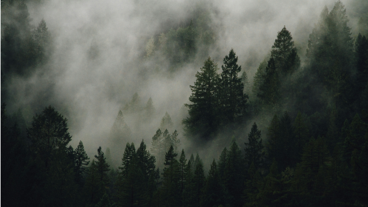 Twin Peaks torna in streaming: su MUBI tutte le stagioni per il 35° anniversario