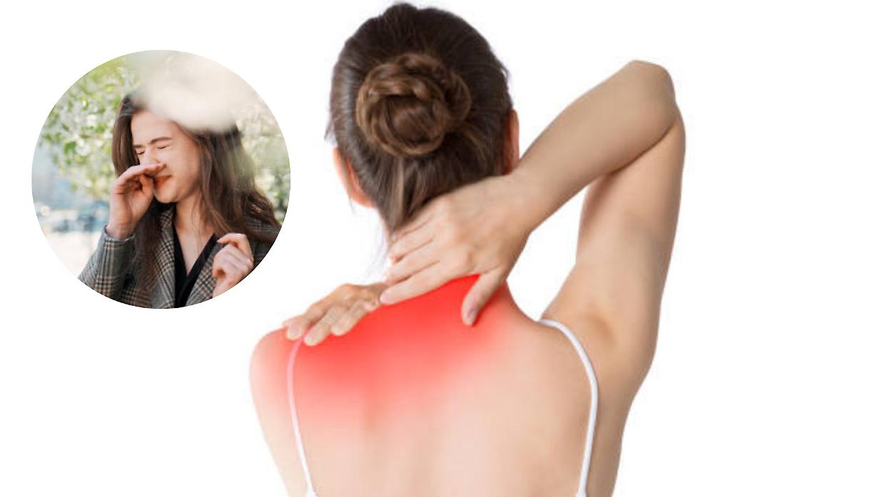 Non solo starnuti: quando le allergie si fanno sentire… nei muscoli