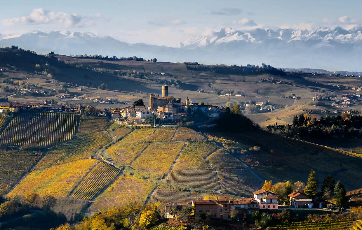 Hill Barolo 2025: due giorni di vino, musica e sapori tra le colline di La Morra