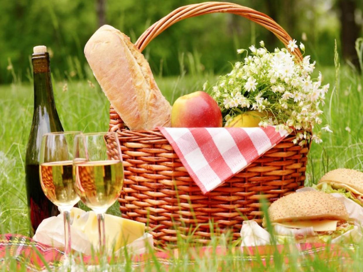 Buon Picnic a tutti! Il 18 Giugno si Celebra la Giornata Mondiale del Picnic
