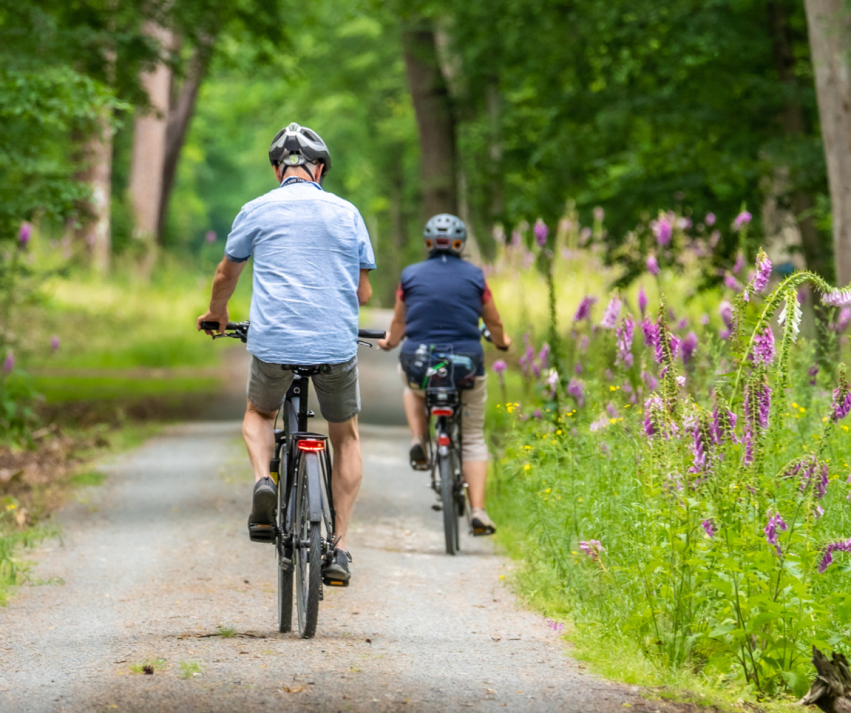 La bicicletta ti protegge dalla demenza: la scienza conferma il legame