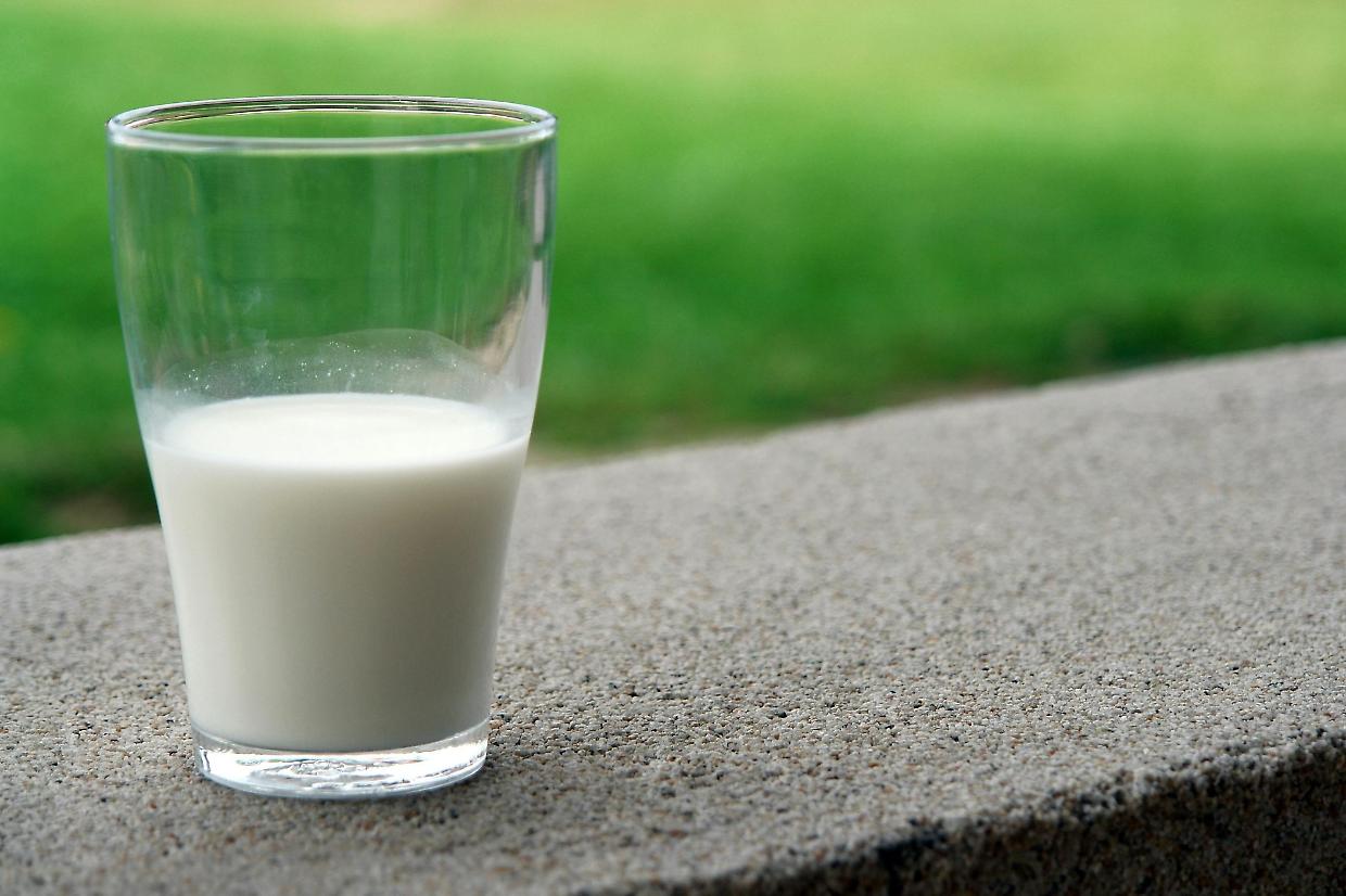 Boom del latte e dei formaggi italiani: nel 2024 export da record e sorpasso sull’Olanda