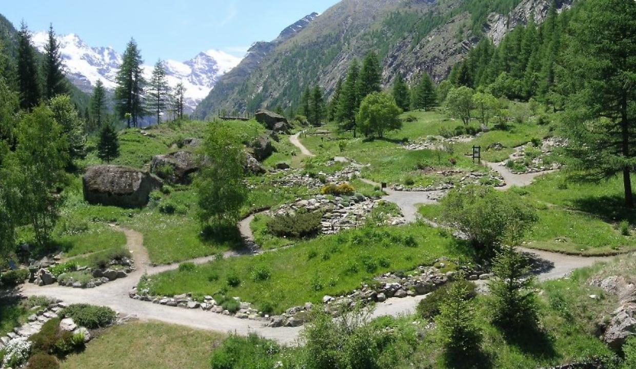 Paradisia 70: una giornata tra natura, scienza e nusica nel cuore del Gran Paradiso