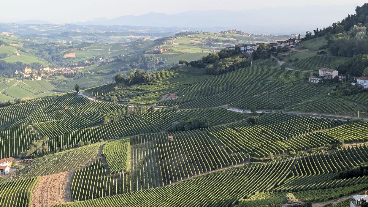 Camminare tra le Langhe: il turismo lento che conquista il cuore delle colline piemontesi