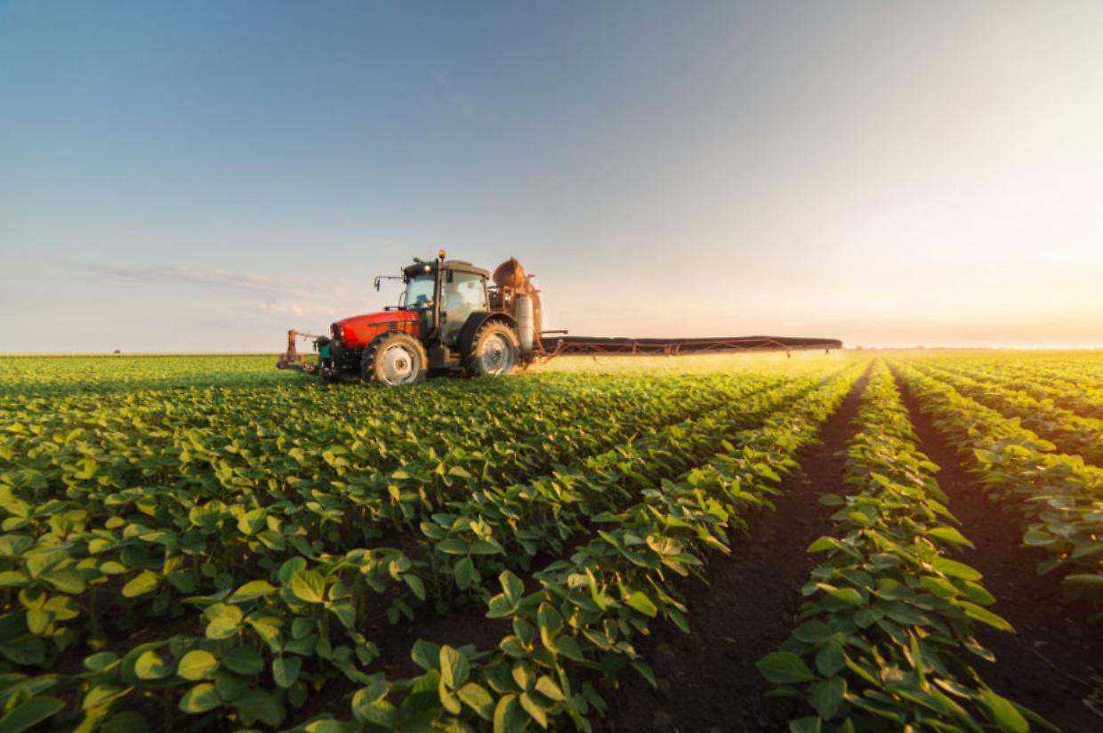 Bonus agricoltura 2025: 500 euro per ettaro a chi protegge api e impollinatori