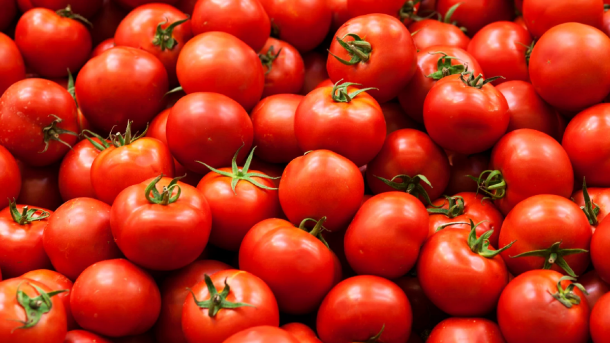 Pomodoro: il frutto dell’estate che sembra una verdura ma è un superfood