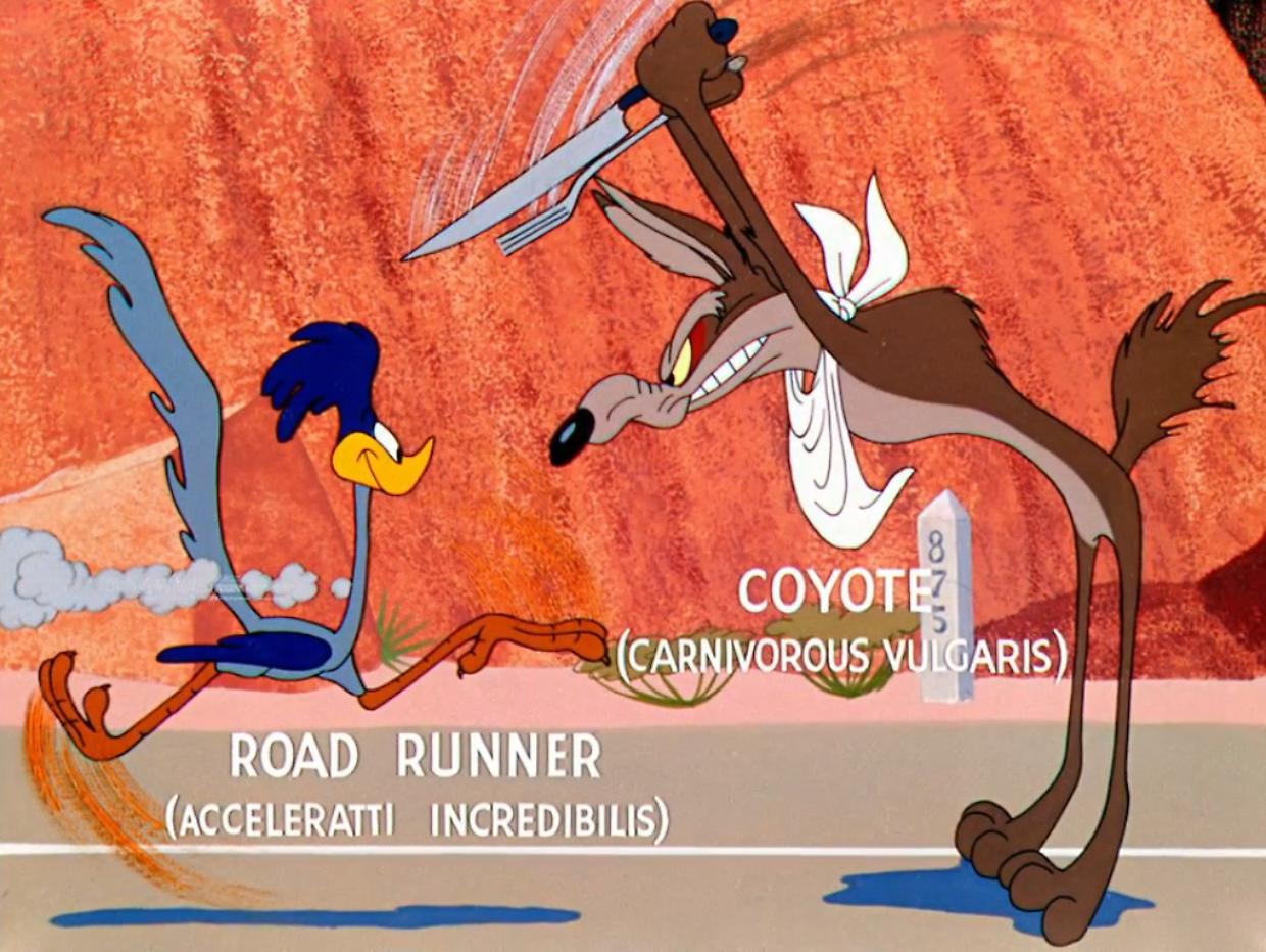 Beep Beep esiste davvero e corre più di quanto pensi!