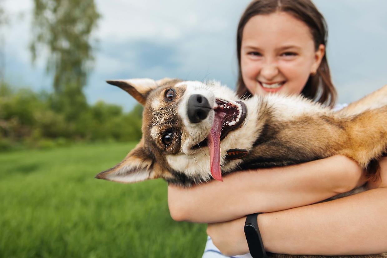 “Il caldo può ucciderli”: al via la campagna per salvare gli animali