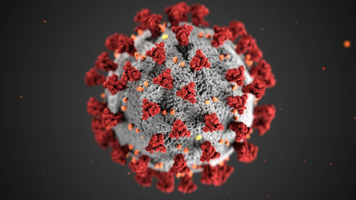 COVID, due nuove varianti sotto i riflettori: ecco i sintomi e i rischi