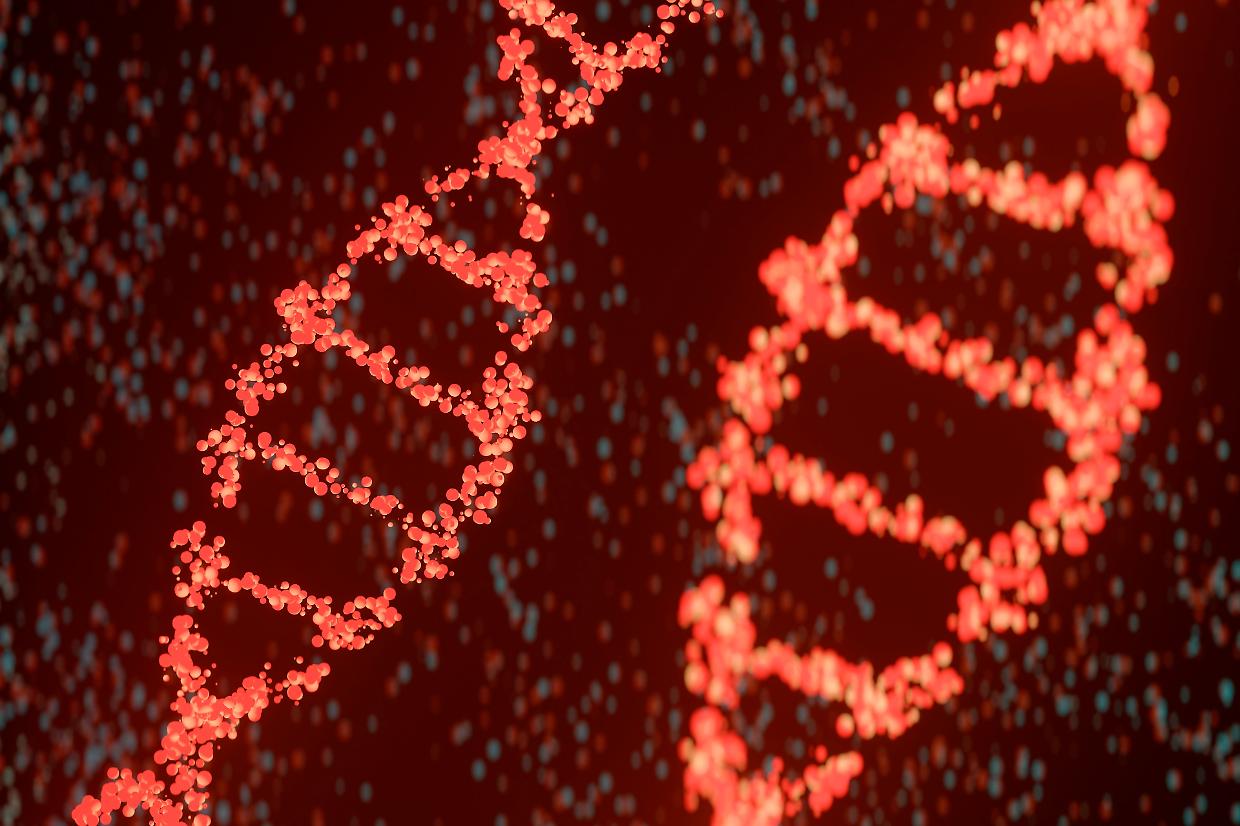 Scienza: estratto per la prima volta il DNA di un antico egizio