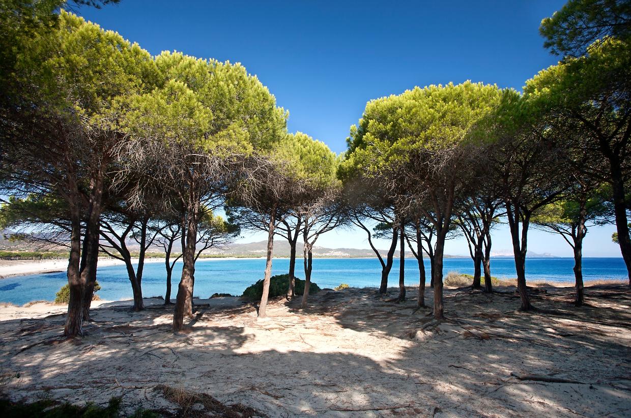 Prime vittime del caldo in Italia: un malore improvviso li ha raggiunti in Sardegna