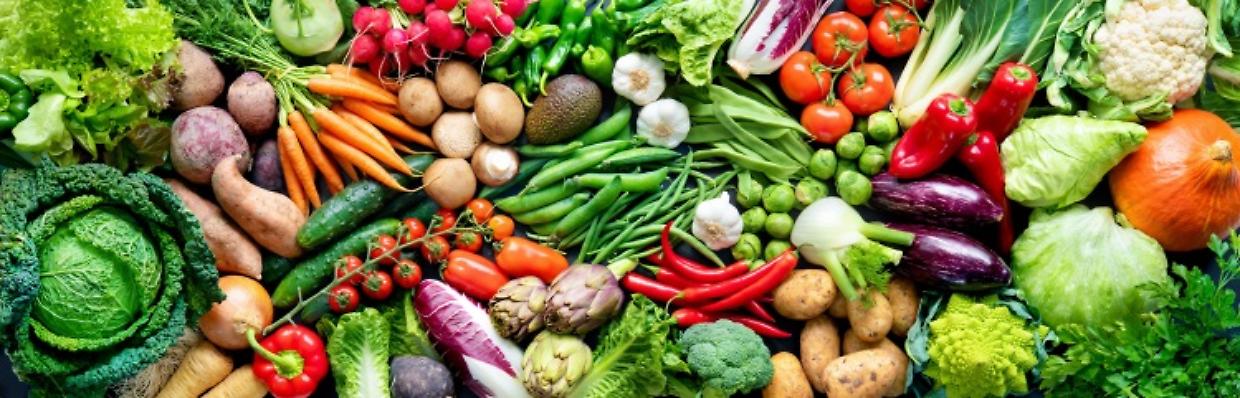 Ortofrutta biologica in Piemonte