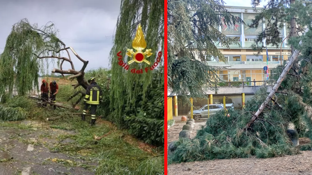 Temporale sul vercellese, cadono alberi e pali: notte di interventi