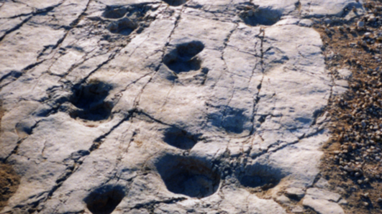 Orme di dinosauro in Italia: i luoghi dove vederle e come si sono formate