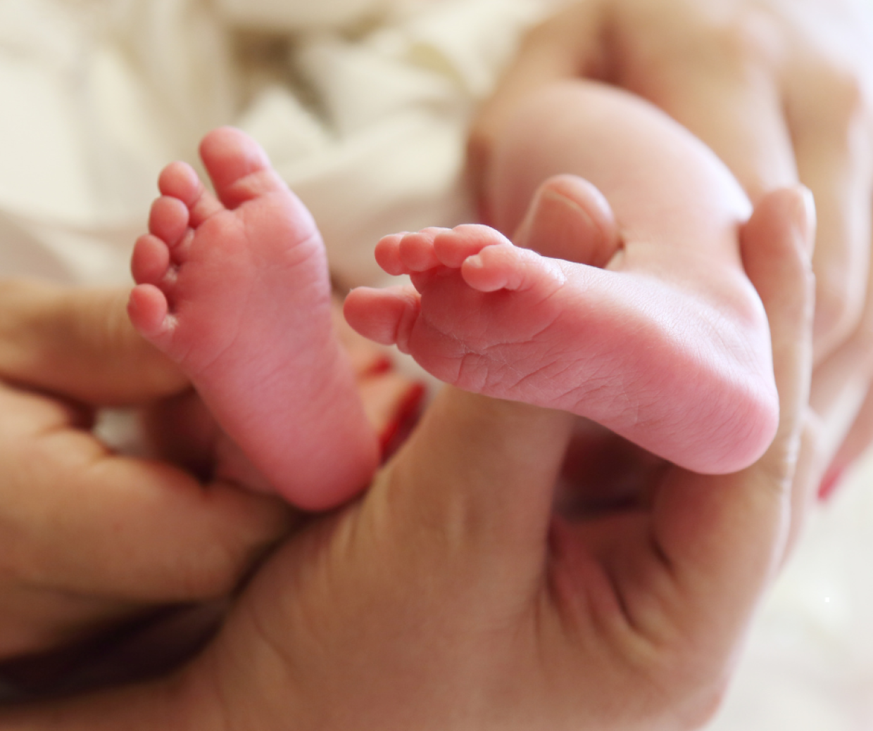 Russia, mistero sui dati demografici: scompaiono le cifre su nascite e decessi