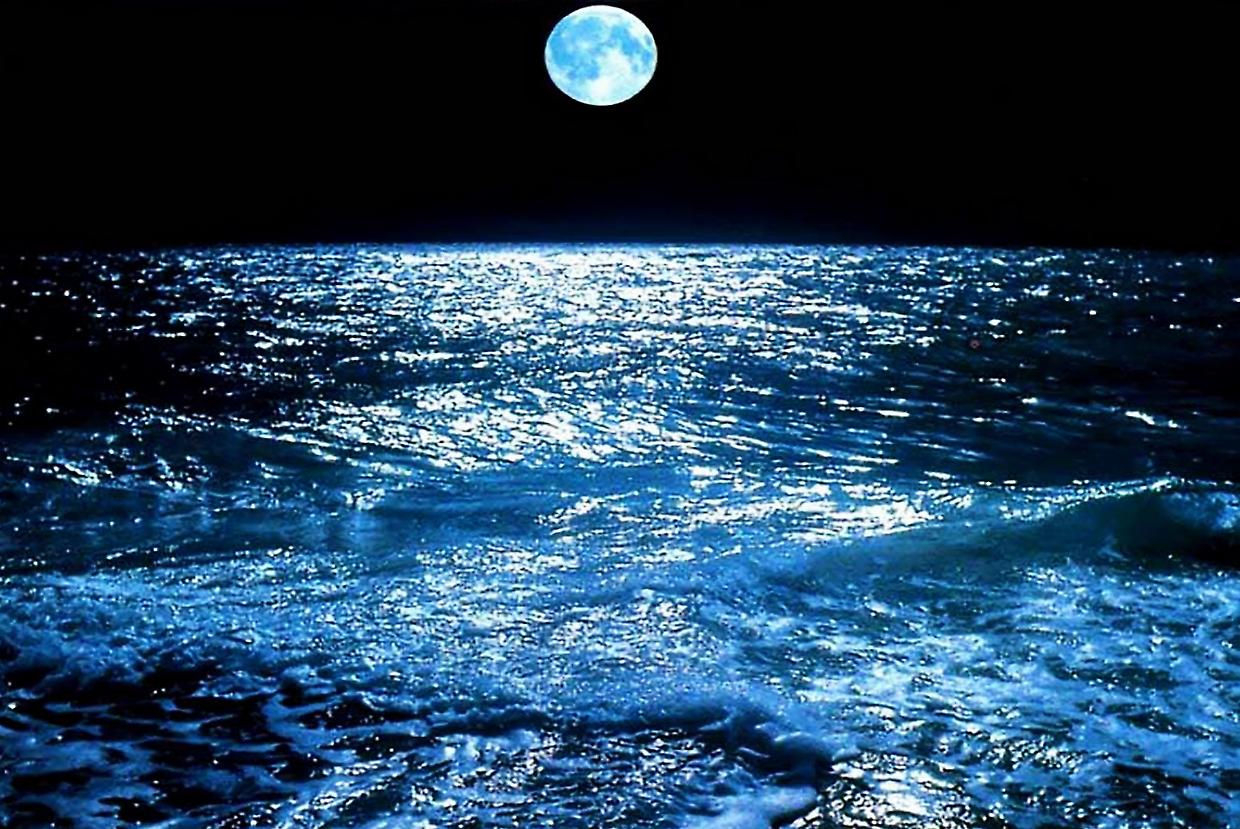 Come la Luna influenza le maree: un legame tra scienza e natura