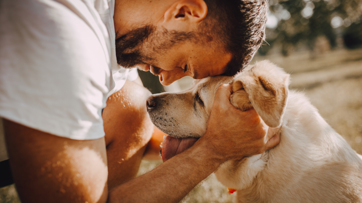 Svezia: nuove linee guida per il benessere animale, vietato lasciare il cane da solo per più di sei ore