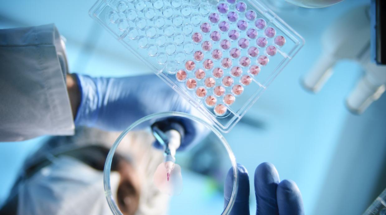 Università di Torino e Lever Bio collaborano allo sviluppo di una nuova tecnologia per la terapia cellulare contro i tumori solidi