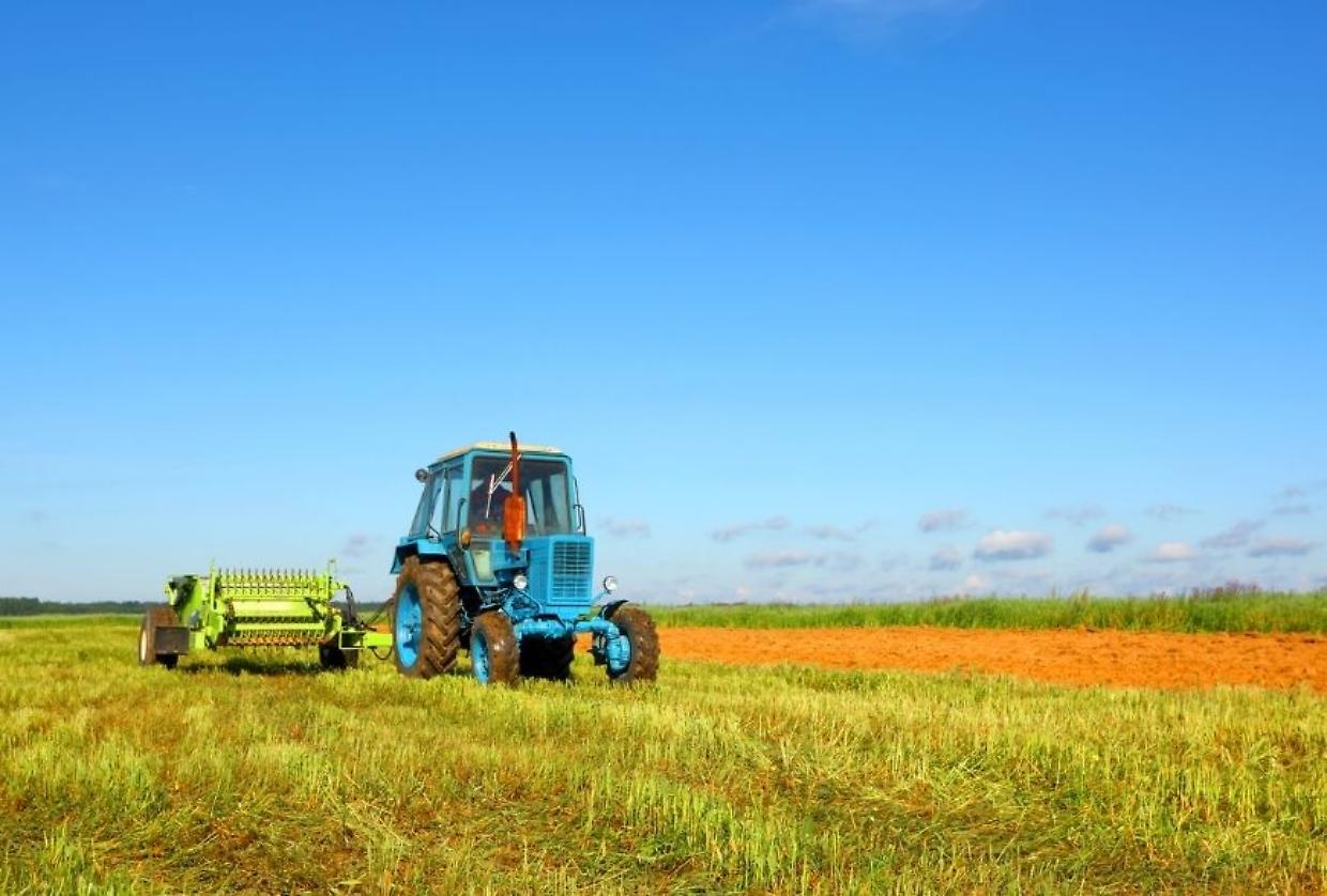 Il 70% delle imprese teme i costi: l’agroindustria piemontese chiede sostegno per restare competitiva