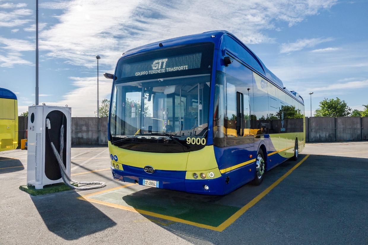 Bus gratis a Torino per studenti under 26: stanziati 36 milioni per il nuovo bonus