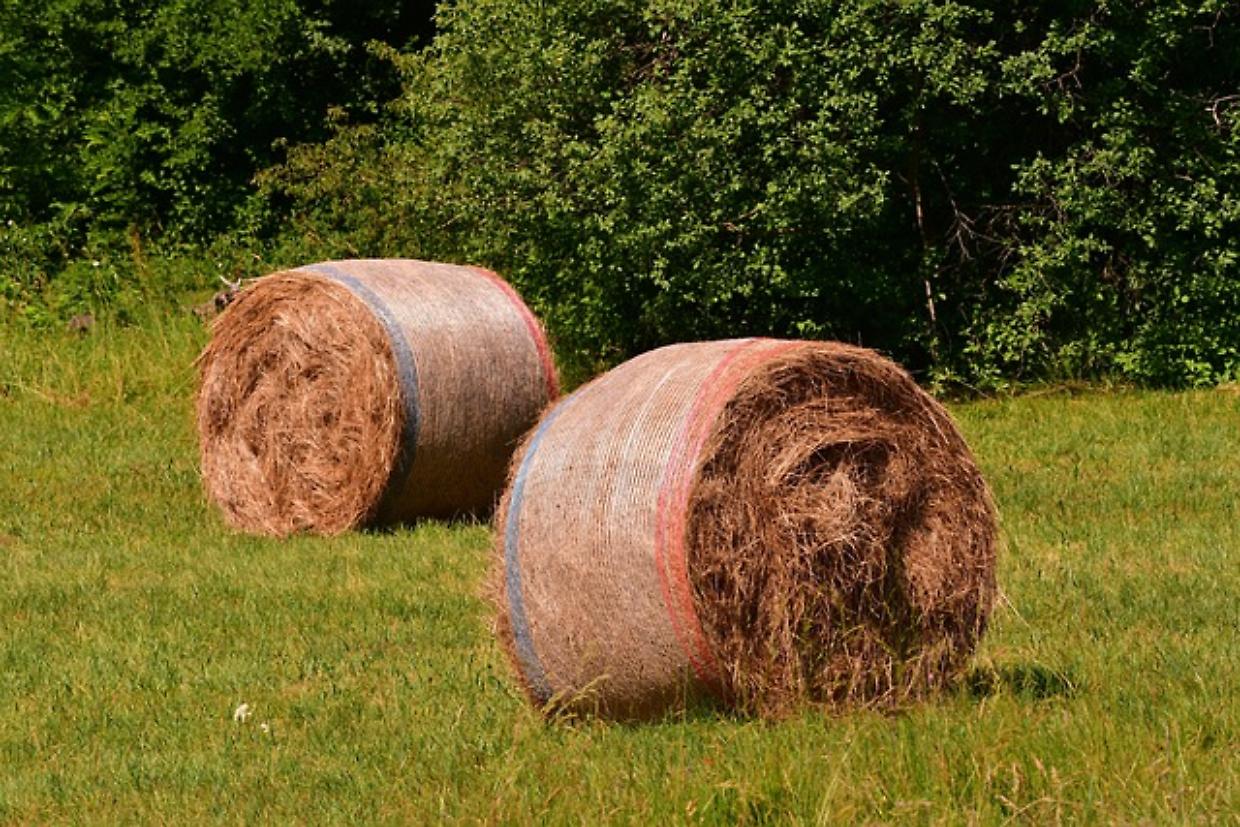 Tragedia a Lusernetta: 81enne muore dopo essere stato travolto da due rotoballe di fieno