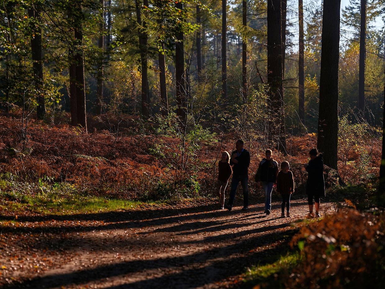 Sui sentieri d’òc: estate in cammino tra folklore e suoni occitani