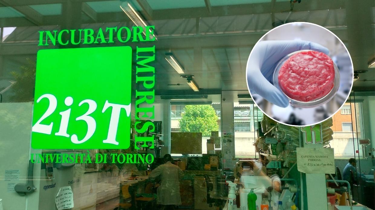Carne da laboratorio? Si, è (quasi) possibile. Ecco le rivoluzioni torinesi