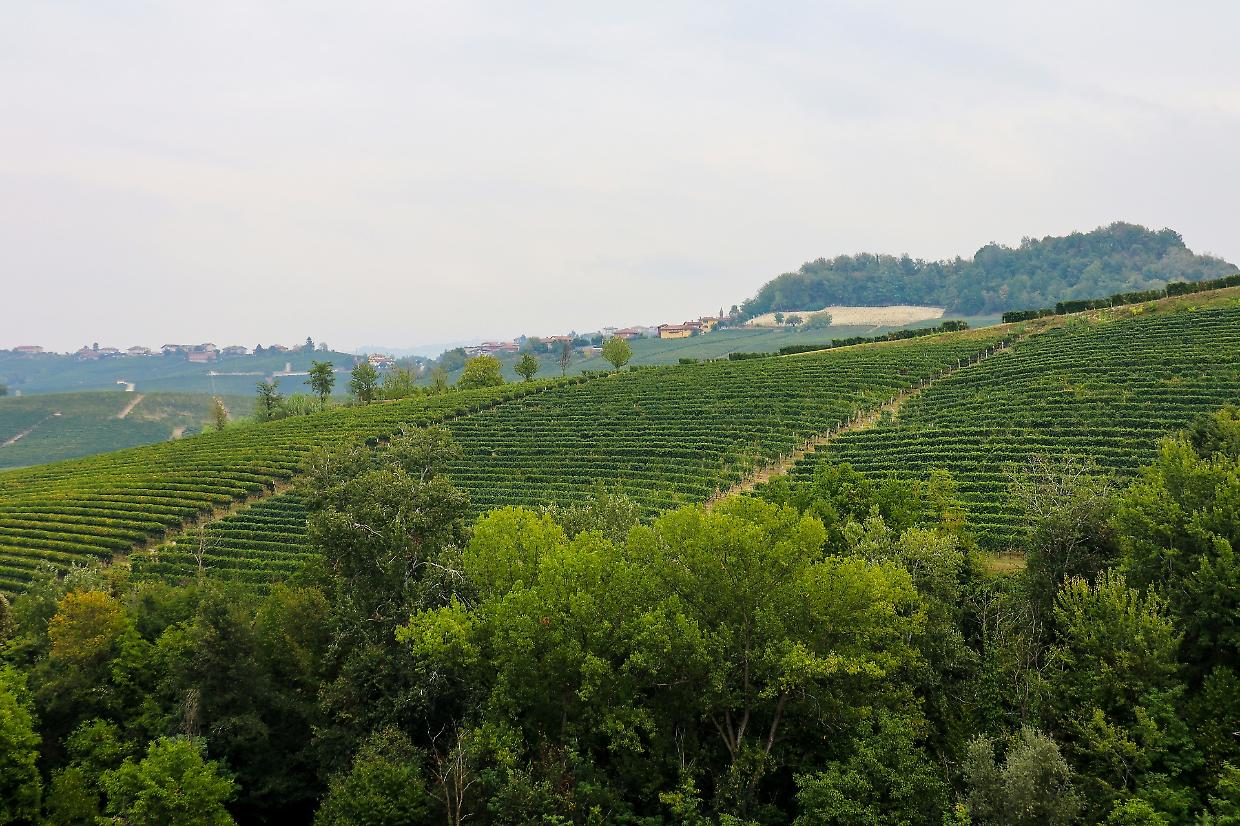 Cammina-tür: 7 camminate per scoprire le colline novaresi