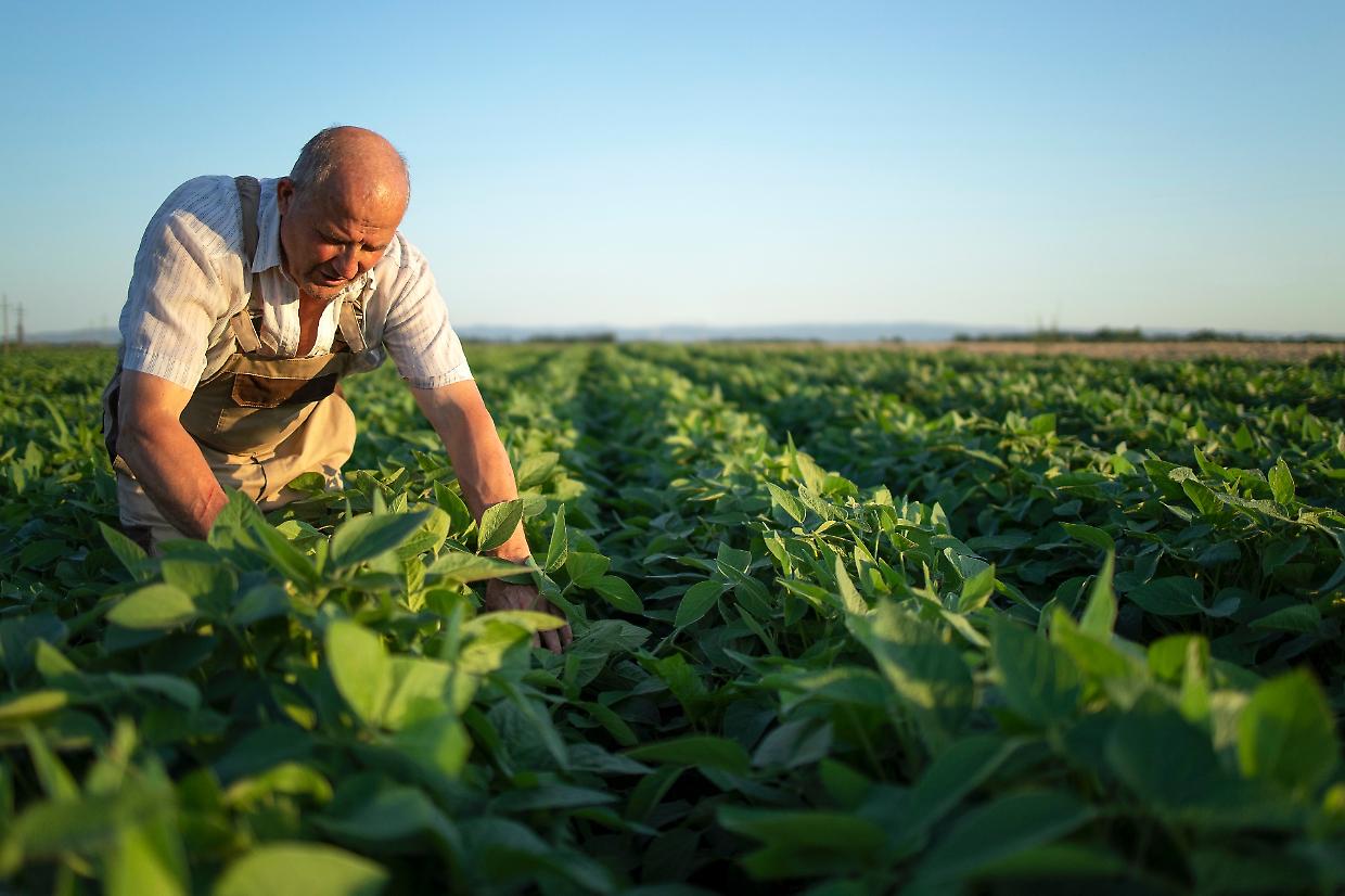 Agevolazioni per le piccole imprese agricole in Piemonte: esce il bando 2025