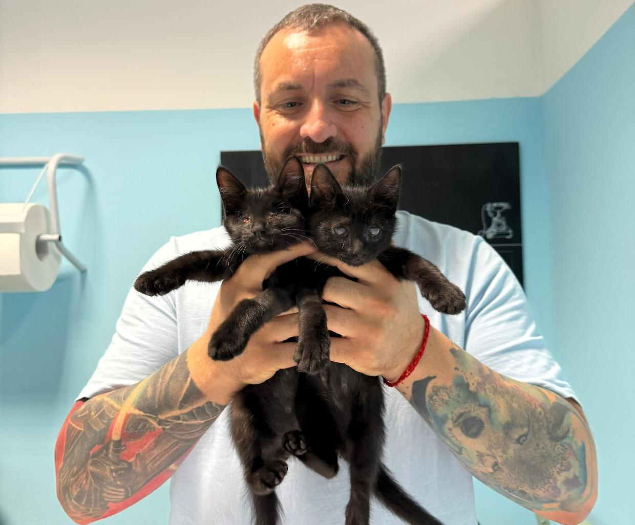 Ray e Stevie, vittime dell’ignoranza: due gattini ciechi in cerca d’amore