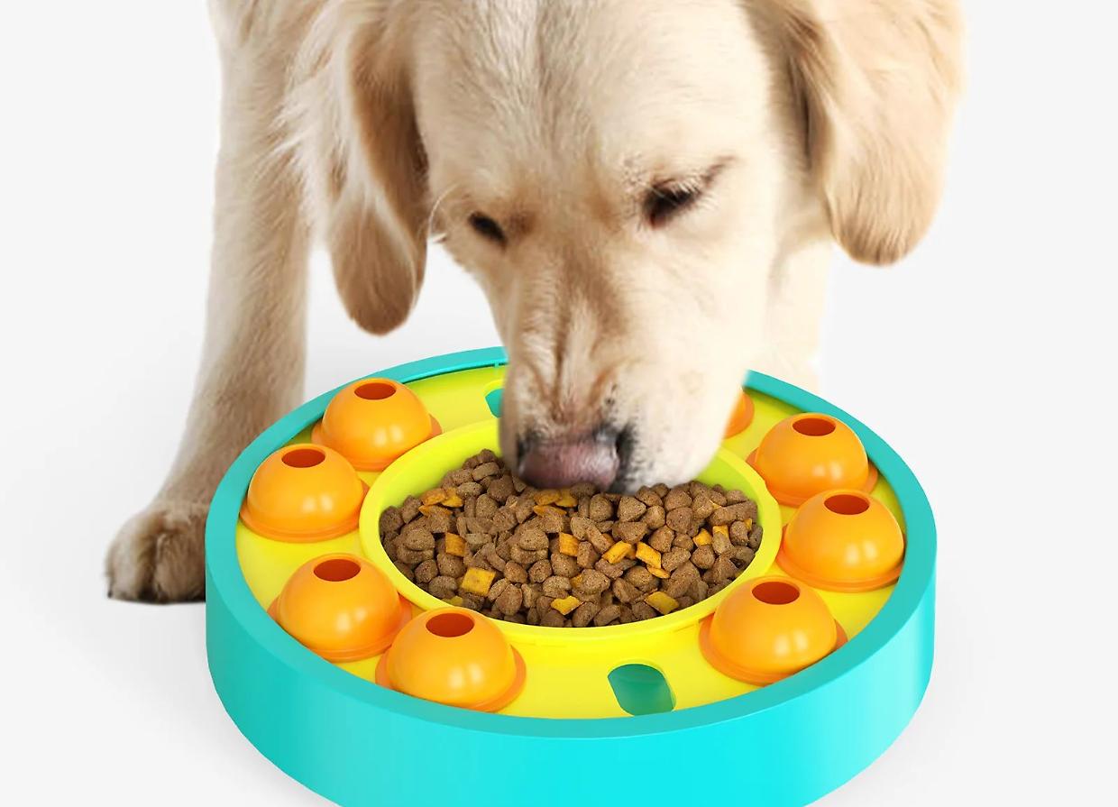 Giocare per mangiare (meglio): i puzzle feeder per animali domestici