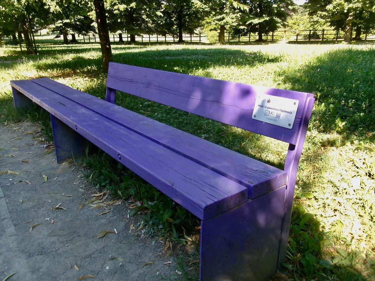 Una panchina viola a Grugliasco per l'epilessia