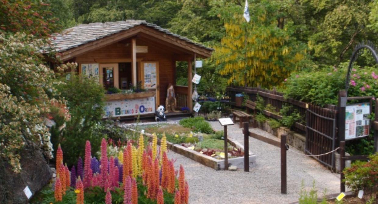 Quattro luoghi dove la natura parla: ecco i più bei giardini alpini vicino a Torino