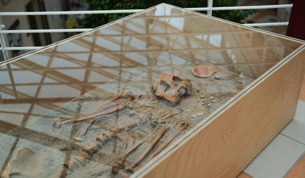 "I primi custodi della memoria": a Cuneo la mostra sulle sepolture paleolitiche