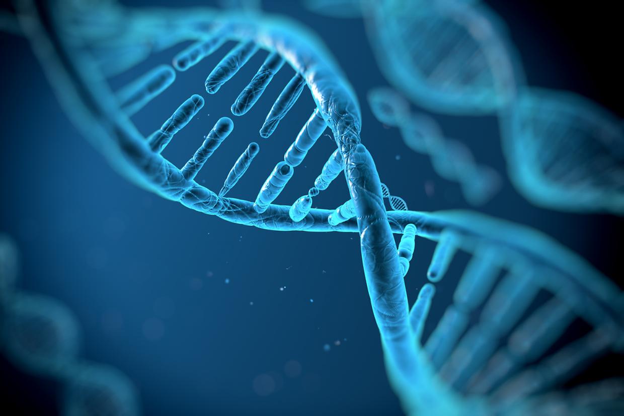 Realizzata la mappa più completa del genoma umano: un grande atlante del DNA