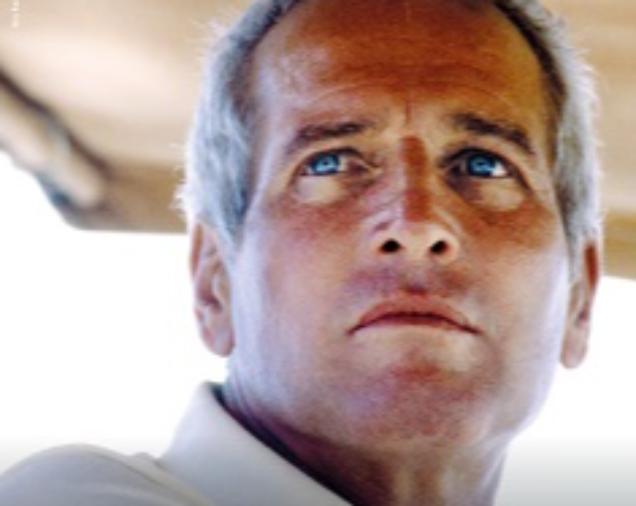 Torino Film Festival 2025: Paul Newman protagonista di un omaggio