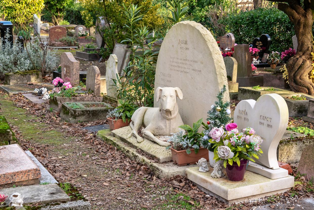 Ciriè diventa la prima città che consente la sepoltura dei propri animali domestici, vicino al padrone di casa