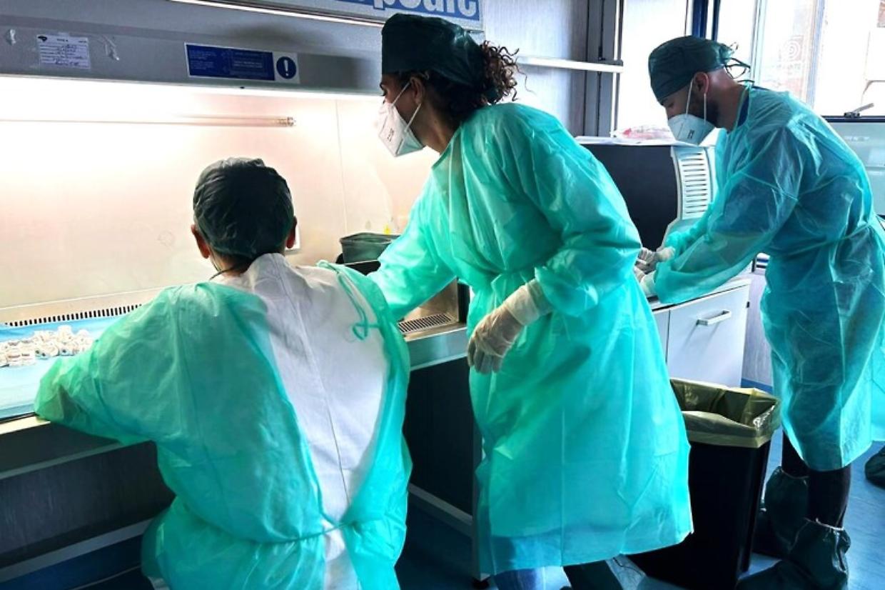 Italia all’avanguardia: primo paziente al mondo torna a vedere grazie a una nuova terapia genica