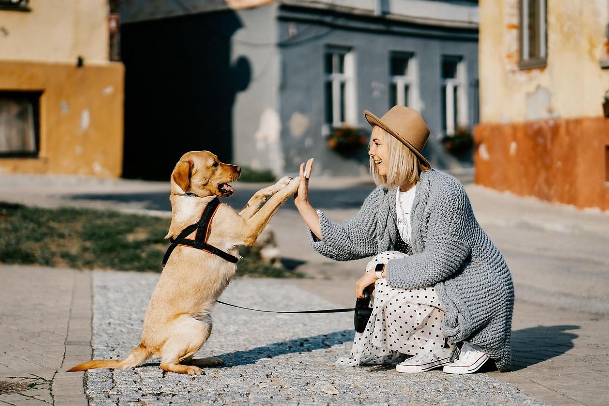 Ivrea, ecco la campagna che mira a educare i proprietari di cani