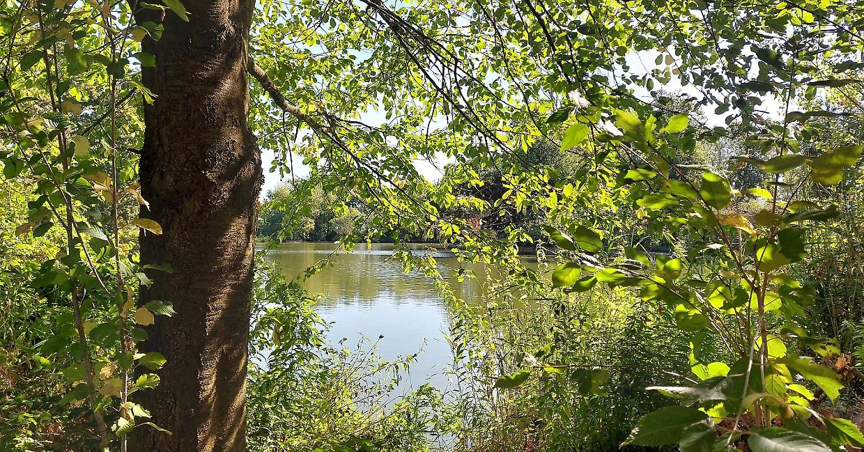 Lo sapevi che vicino a Novara c’è una palude piena di vita?