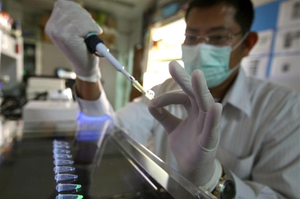 Aumentano a 9 i decessi per virus West Nile in Italia nel 2025: focus su Lazio e Campania