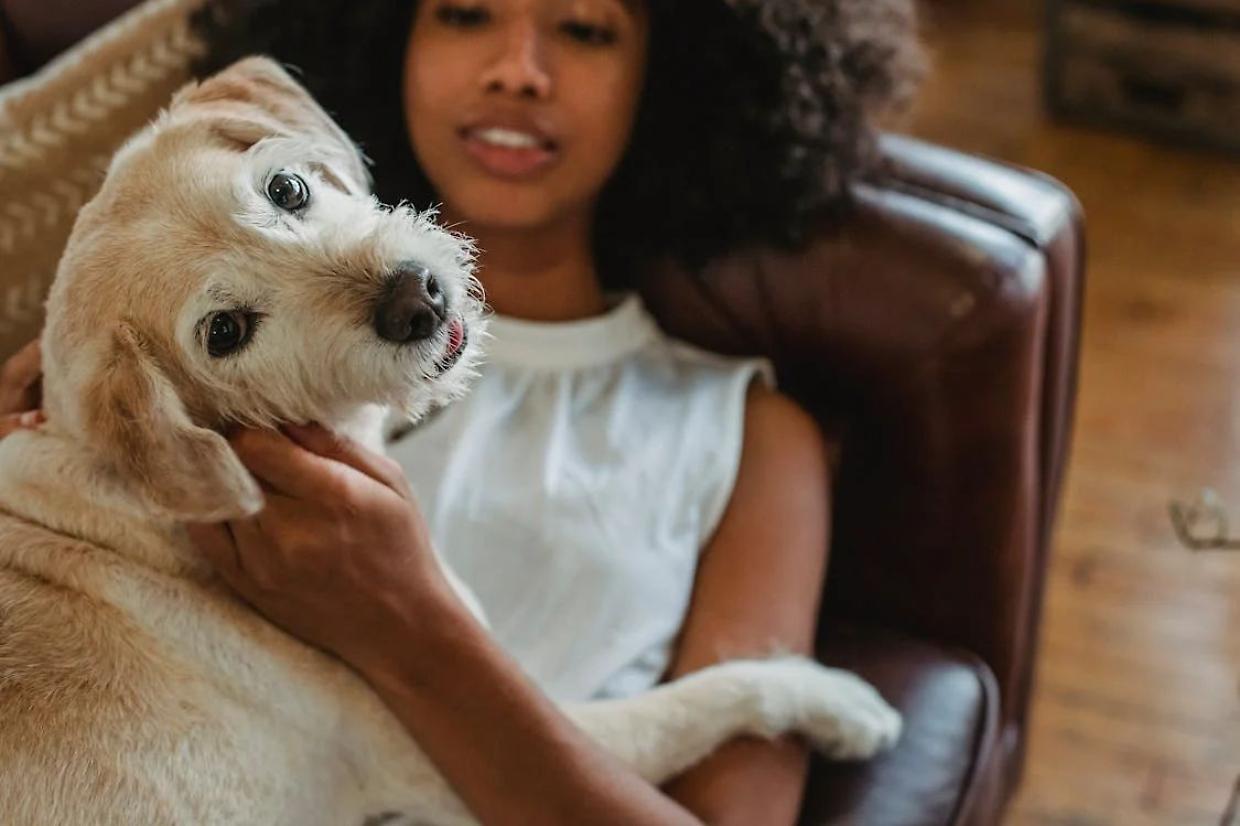 Sepoltura con il proprio cane: a Ciriè, ora, si può
