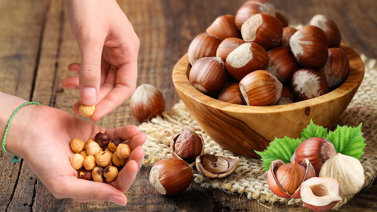 Nocciole, il clima colpisce la produzione in Piemonte: Coldiretti chiede interventi urgenti