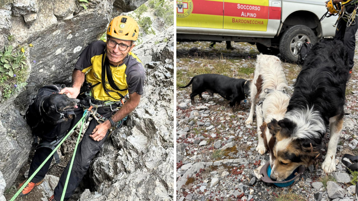Intrappolati in un canalone sopra Bardonecchia, tre cani salvati dopo una notte sull'orlo del precipizio