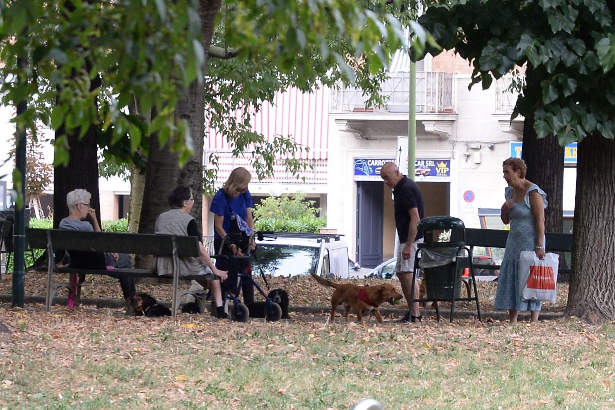 Non c’è spazio per Fido: alla ricerca di fondi perduti