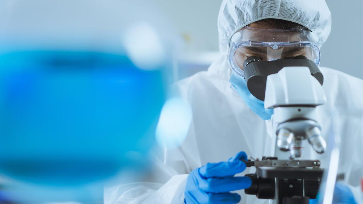 I batteri parlano ai neuroni: a Torino scoperta una nuova forma di comunicazione tra microbiota e cervello