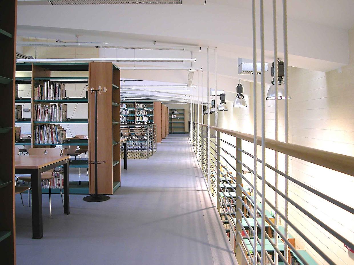 San Mauro legge ancora, la biblioteca comunale pubblica i dati sulla loro pagine instagram