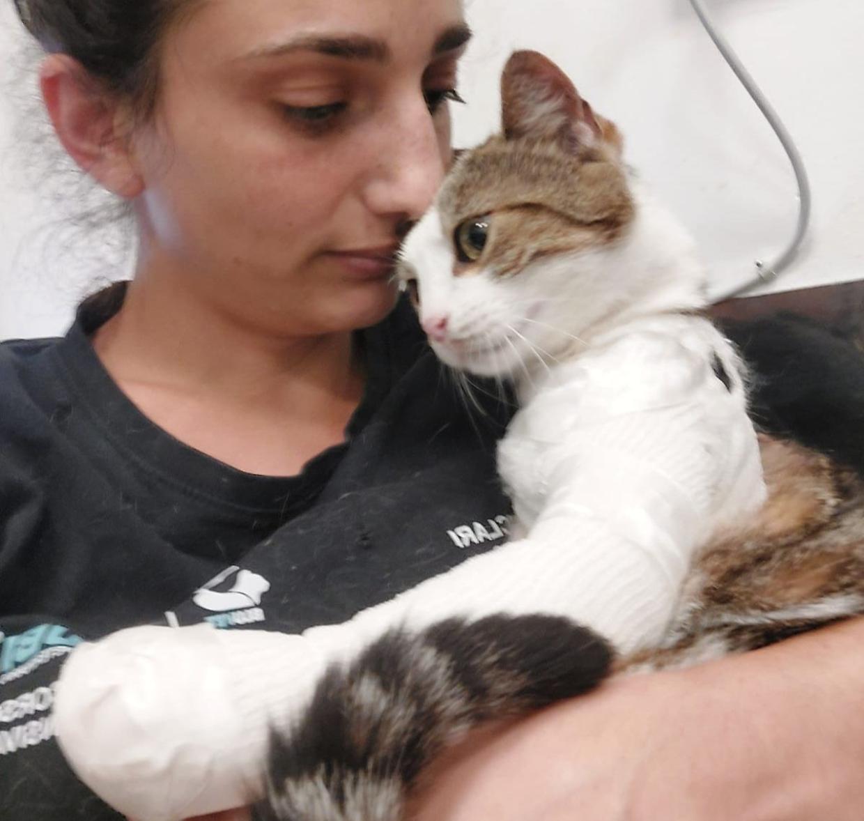 È tornata a camminare con una zampa sola: la storia di Nala, salvata da laser e ozono terapia