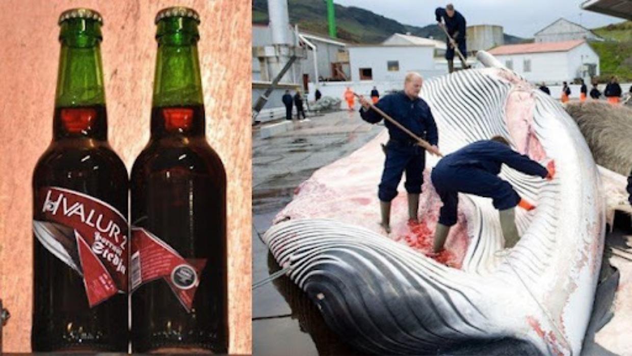 Le 10 birre più strane del pianeta: un viaggio tra sapori e ingredienti impossibili