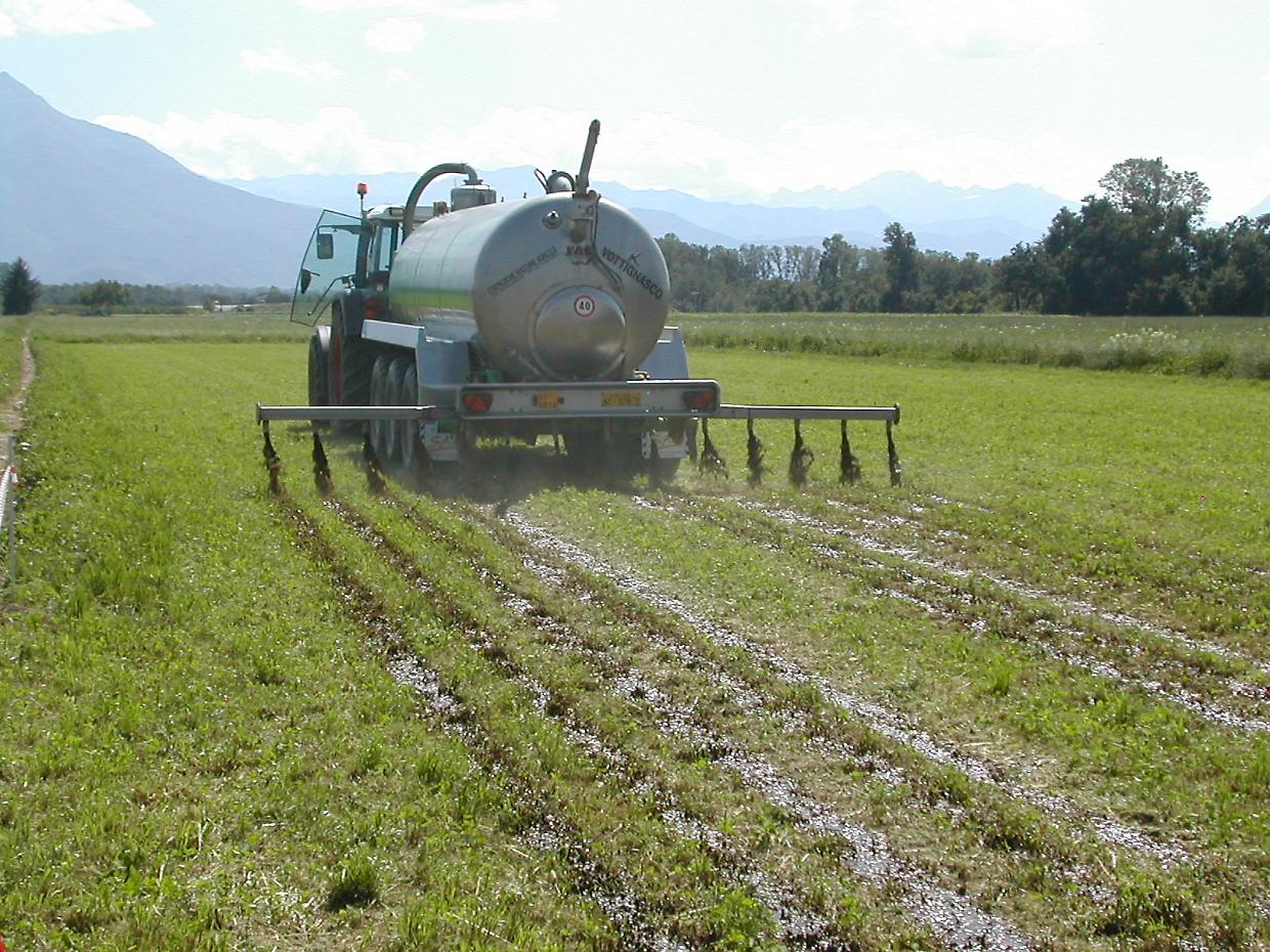 Sospeso l'obbligo di comunicazione preventiva per lo spandimento dei liquami in Piemonte: una decisione che solleva le imprese agricole